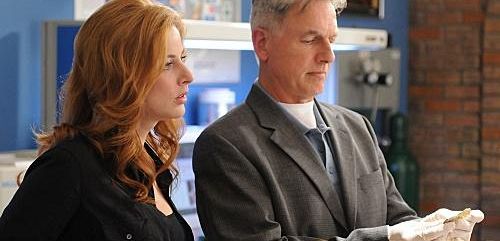 Diane Neal mówi, że wróci jako agentka Borin