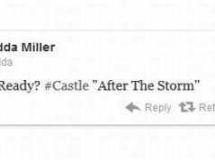 5 spoilerów o Breaking Bad, Castle, Hawaii 5.0, Nikicie i Perception