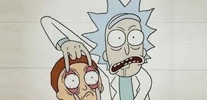 Adult Swim zamawia 