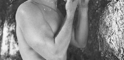 Trevor Donovan gościnnie w 