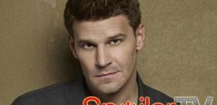 David Boreanaz z 