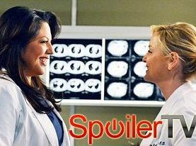 Callie i Arizona będą miały seks w Chirurgach