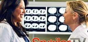 Callie i Arizona będą miały seks w 