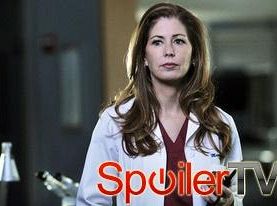 Dana Delany: Finał Anatomii prawdy dostarczy satysfakcjonujące zakończenie