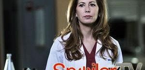 Dana Delany: Finał 