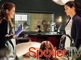 Sasha Alexander z Partnerek: To wielki rok dla Maury