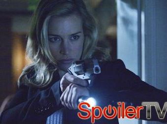 Piper Perabo z Kamuflażu o wyjawionych sekretach, seksie przy ludziach i nasionach słonecznika