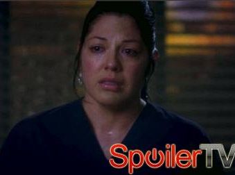 Sara Ramirez z Chirurgów: Callie i Arizona wracają do punktu wyjścia po chwili szczerości