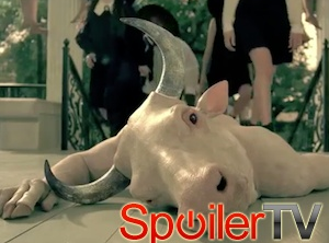 Czarownice z 3 sezonu American Horror Story ujawnione!