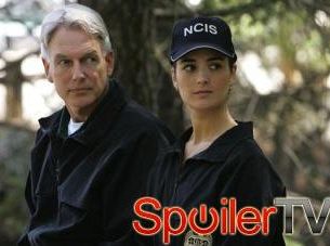 Mark Harmon z NCIS: Pozostaniemy najlepsi nawet po odejściu Cote de Pablo
