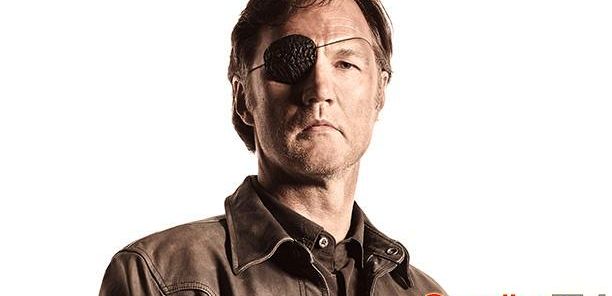 David Morrissey  z 