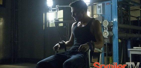 Colton Haynes z 