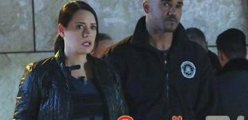 Paget Brewster zapowiada 200. odcinek 