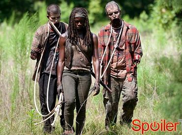 Danai Gurira zapowiada nieprzewidywalny moment dla Michonne w Żywych trupach