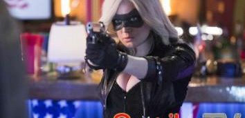 Caity Lotz z 
