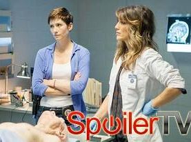 Chyler Leigh i Jennifer Esposito zagrają w Taxi Board