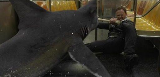 Zobacz jak Ian Ziering ratuje Nowy Jork przed atakiem rekinów w metrze w 