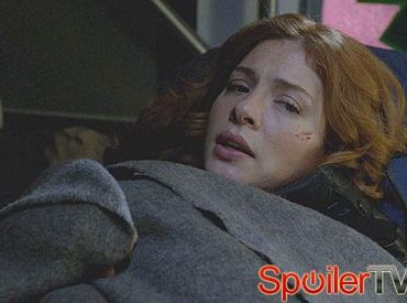 Streszczenie Pod kopułą: Chester's Chill