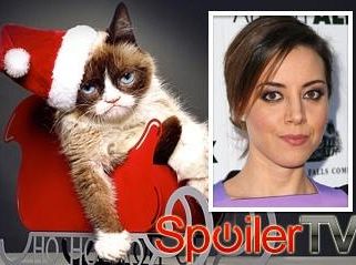 Aubrey Plaza użyczy głosu kocicy w Grumpy Cat’s Worst Christmas Ever