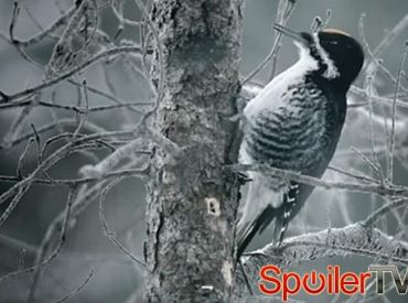 Zobacz pierwszą zapowiedź 2 sezonu „Fargo”