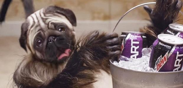 Reklama Mountain Dew na Super Bowl to istny koszmar