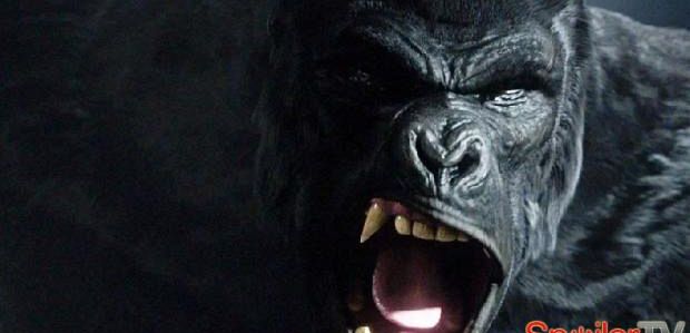 Grodd powróci w 3 sezonie 