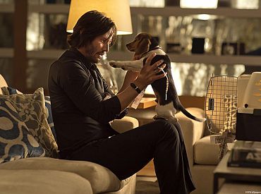 Powstaje „Continental”, serial oparty na filmach „John Wick”