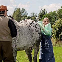 Nareszcie w domu