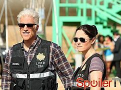 CSI: Kryminalne zagadki Las Vegas: 13x03 Wild Flowers - zdjęcia promocyjne
