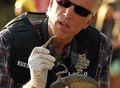 CSI: Kryminalne zagadki Las Vegas: 13x03 Wild Flowers - zdjęcia promocyjne