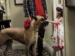 Dwóch i pół: 10x02 A Big Bag of Dog - zdjęcia promocyjne
