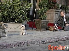 Jak poznałem waszą matkę: 8x05 The Autumn of Break-Ups - zdjęcia promocyjne