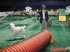 Agenci NCIS: Los Angeles: 4x05 Out of the Past - zdjęcia promocyjne