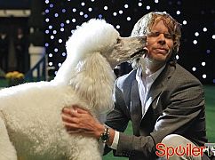 Agenci NCIS: Los Angeles: 4x05 Out of the Past - zdjęcia promocyjne