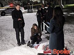 Castle: 5x09 Secret Santa - zdjęcia promocyjne