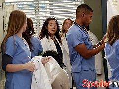 Chirurdzy: 9x08 Love Turns You Upside Down - zdjęcia promocyjne