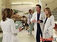 Chirurdzy: 9x08 Love Turns You Upside Down - zdjęcia promocyjne