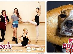 Plakaty promocyjne 1 sezonu Bunheads
