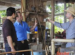 Hawaii 5.0: 3x11 Kahu - zdjęcia promocyjne