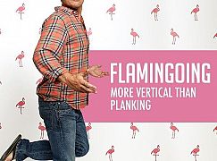 Plakaty promocyjne 4 sezonu Cougar Town