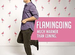 Plakaty promocyjne 4 sezonu Cougar Town