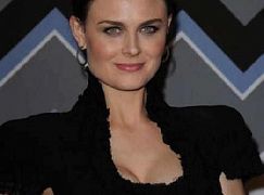 Zdjęcia obsady seriali podczas FOX Winter TCA 2013