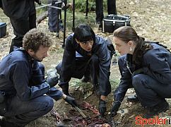 Kości: 8x13 The Twist in the Plot - zdjęcia promocyjne