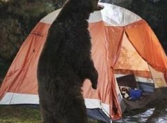 The Neighbors: 1x18 Camping - zdjęcia promocyjne