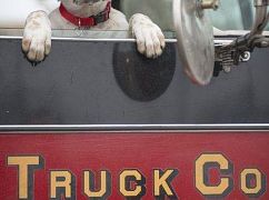 Chicago Fire: 1x16 Viral - zdjęcia promocyjne