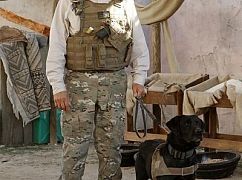 Agenci NCIS: 10x18 Seek - zdjęcia promocyjne