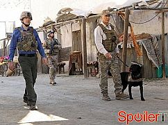 Agenci NCIS: 10x18 Seek - zdjęcia promocyjne