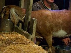 Biuro: 9x17 The Farm - zdjęcia promocyjne