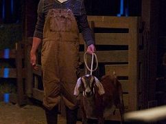 Biuro: 9x17 The Farm - zdjęcia promocyjne