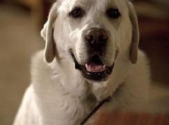 Tajemnica Amy: 5x15 Untying the Knot - zdjęcia promocyjne